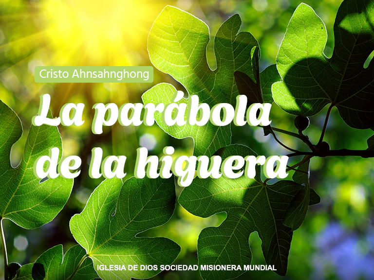 La parábola de la higuera